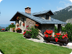 Whispering Pines Estate in Hills